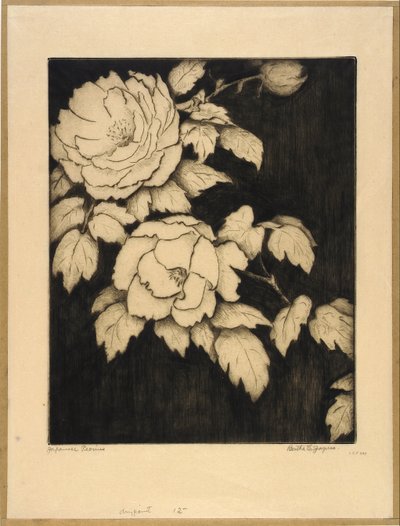  by Bertha E. Jaques