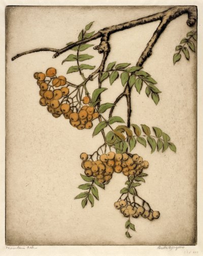  by Bertha E. Jaques