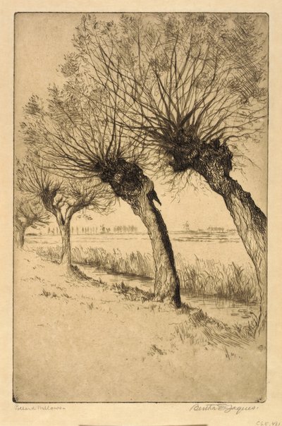  by Bertha E. Jaques