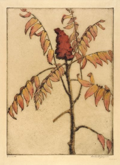  by Bertha E. Jaques