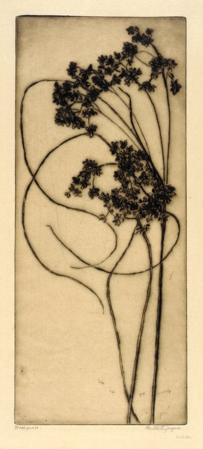  by Bertha E. Jaques