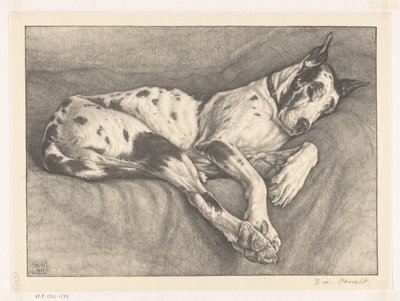 Uyuyan köpek by Bertha van Hasselt (signed by artist)