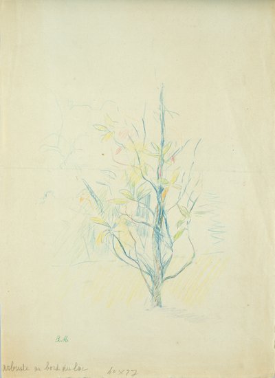 Göl kenarındaki çalılar, 1893 (kağıt üzerine renkli kalem) by Berthe Morisot