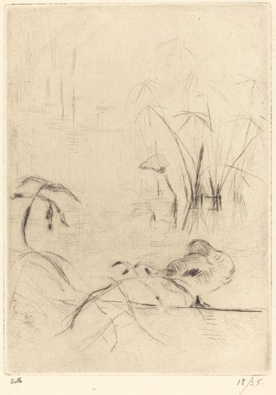Bankada Dinlenen Ördekler, 18881890. by Berthe Morisot