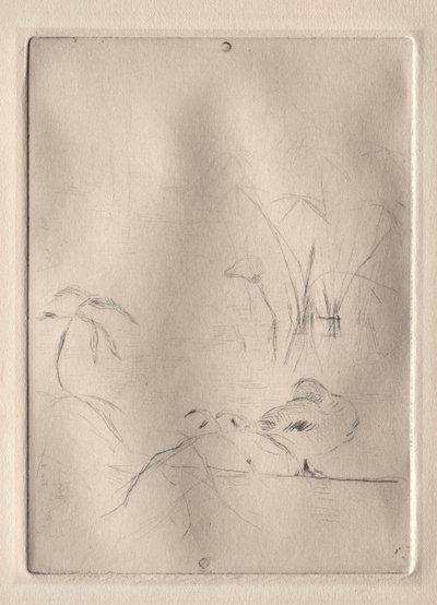 Ördek by Berthe Morisot