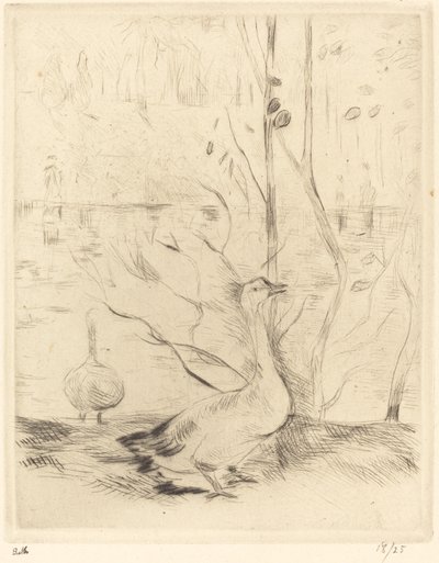 Boulougne Ormanı
