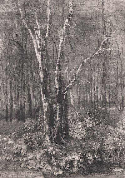 Monza yakınlarındaki Parkta Orman, 1895. by Bianchi Mose