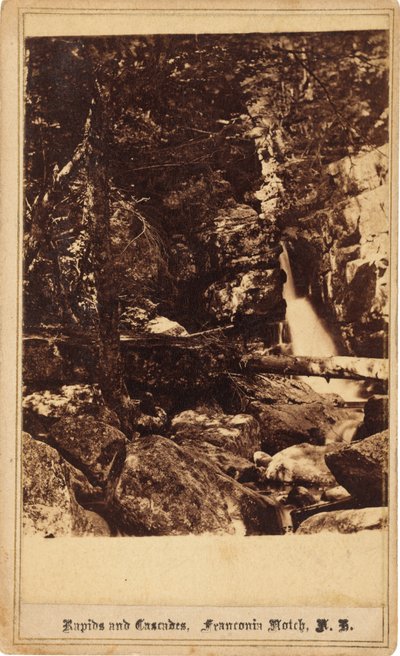 Rapids ve Cascades, Franconia Notch, New Hampshire, 1860