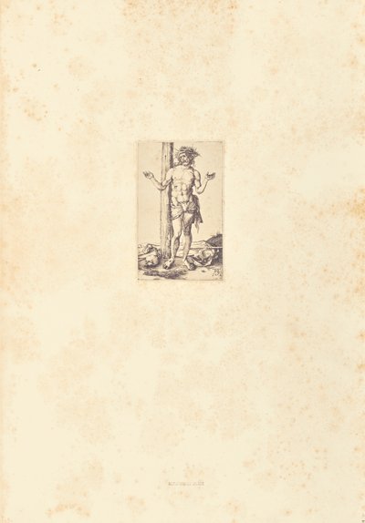  by Bisson Frères