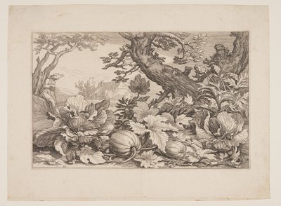  by Boetius Adams Bolswert