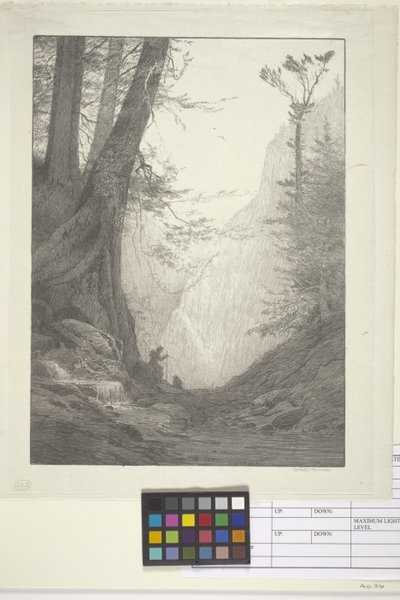 Büyük Sedirler (kağıt üzerine mürekkep, litografi) by Bolton Coit Brown
