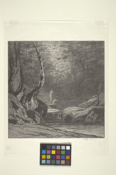 Eğri Ağaç (kağıt üzerine mürekkep) by Bolton Coit Brown