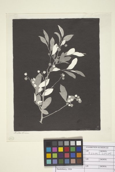 Huckleberry (kağıt üzerine mürekkep) by Bolton Coit Brown