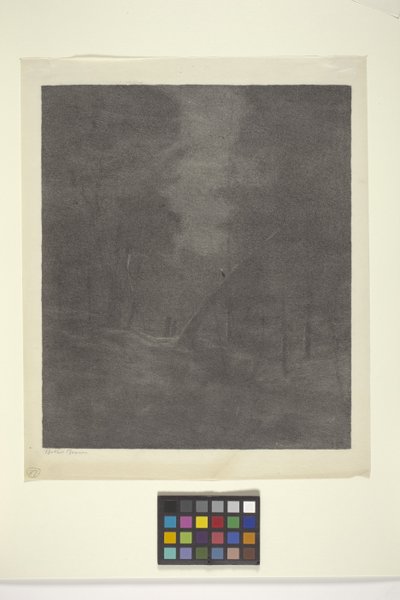 Ayışığı Ormanı (kağıt üzerine mürekkep) by Bolton Coit Brown