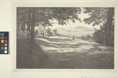 Kuzey Görünümü (kağıt üzerine mürekkep) by Bolton Coit Brown