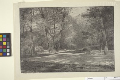 Sierra Woods (kağıt üzerine mürekkep) by Bolton Coit Brown