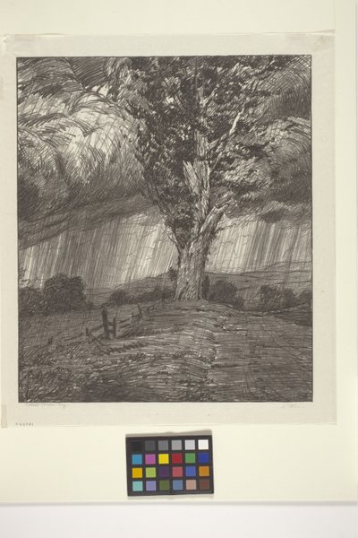 Fırtına (kağıt üzerine mürekkep) by Bolton Coit Brown
