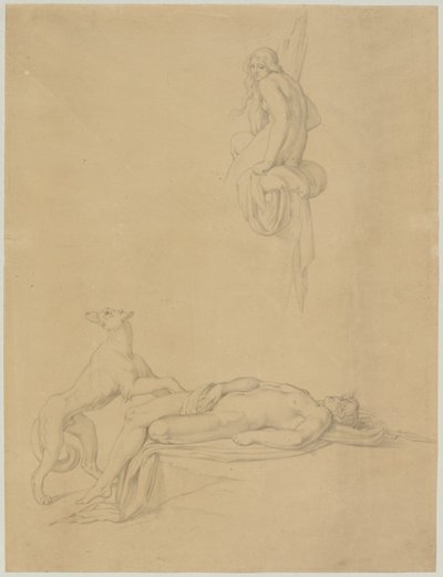 Ovid'in "Nergis ve Yankı" üzerine vaka çalışmaları by Bonaventura Genelli