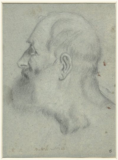 Soldaki profilde sakallı adamın başı by Bonifazio Veronese (attributed to)