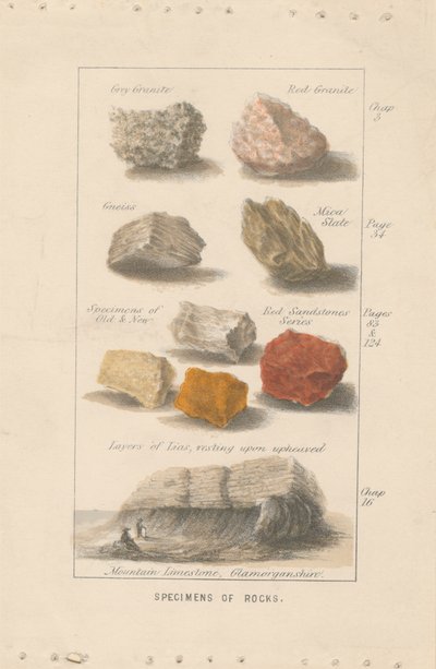 Kaya Örnekleri. Wright'ın 'İnsan İçin Hazırlanan Küre'si İçin Bir İllüstrasyonun Kanıtı. by Bradshaw and Blacklock