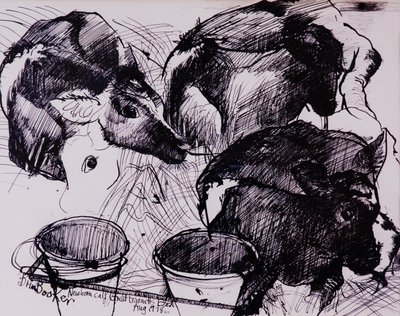 Buzağılar, nemli, yeni doğan, 1978 by Brenda Brin Booker