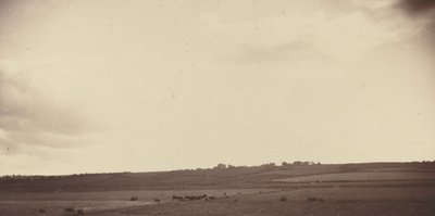 İneklerin Olduğu Tarlaların Görünümü by British 19th Century