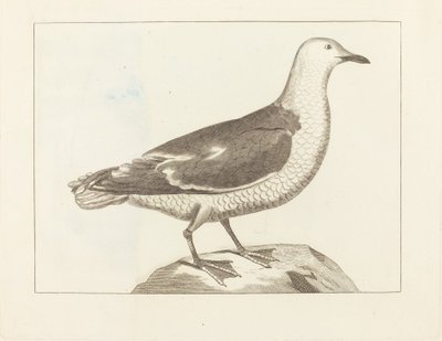su kuşları by British 19th Century