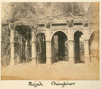 Rozah, Champaner, S.1875 (s/b fotoğraf) by British Photographer