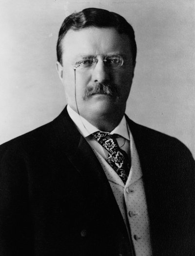 Theodore Roosevelt, c.1904 (s/b fotoğraf) by Brothers Pach