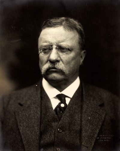 Theodore Roosevelt, c.1915 (s/b fotoğraf) by Brothers Pach