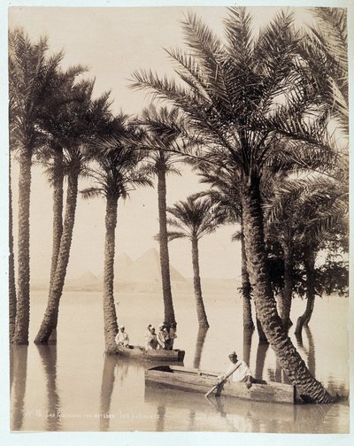 Mısır piramitlerinin dibinde bir palmiye korusu - 19. yüzyılın sonlarında Zengali kardeşlerin fotoğrafı by Brothers Zangaki