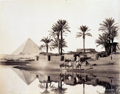 Mısır piramitlerinin eteklerinde su içen develer - 19. yüzyılın sonlarında Zengali kardeşlerin fotoğrafı by Brothers Zangaki