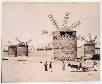 Moulins a Alexandria - Zangali kardeşler tarafından fotoğraf, 19. yüzyılın sonlarında by Brothers Zangaki