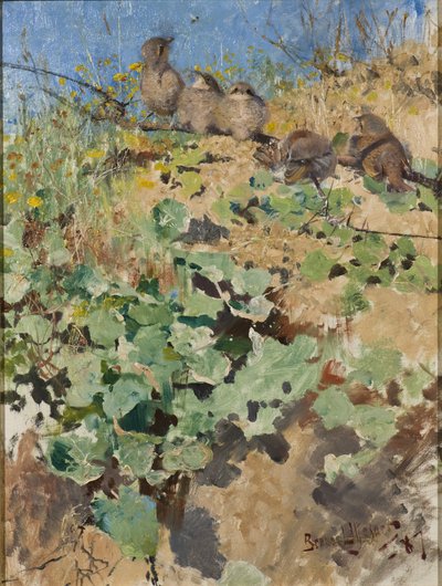 Kızıl Sırtlı Örümcek Kuşunun Yavruları, 1887 by Bruno Andreas Liljefors