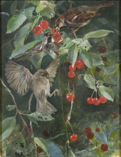 Kiraz Ağacındaki Serçeler, 1885 by Bruno Andreas Liljefors