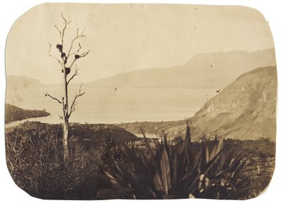 Te Wairoa