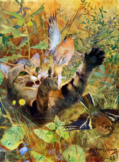Bir Kedi ve Bir İspinoz, 1885 1945. by Bruno Andreas Liljefors