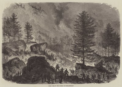 Fontainebleau Ormanında Büyük Yangın by Burn Smeeton