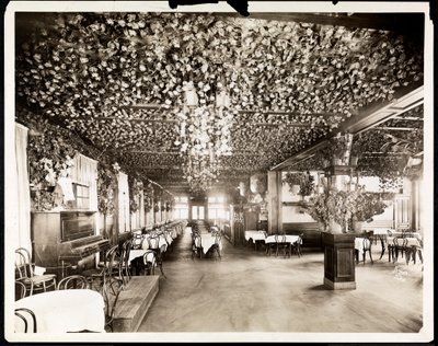 Hotel Dolphin