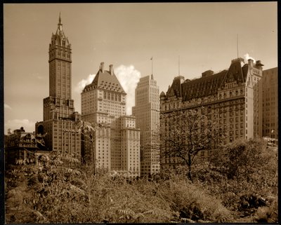 Savoy Plaza Hotel