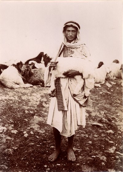 Kuzu taşıyan bir çoban, 1894-1914 dolayları by C.A. Hornstein
