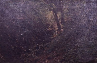 Bir vadide bahar by C.A. Kølle