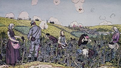 Şarap yetiştiricilerimiz ateş altında hasat etti, 1914