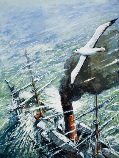 by C.L. Doughty