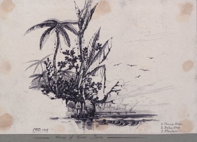  by C.W. Browne