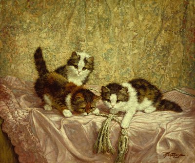  by C. Raaphorst