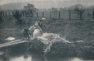Koyun Kırkımı, 1910 by C. Reid