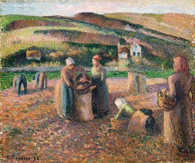 Patates Toplama, 1893 by Camille Jacob Pissarro