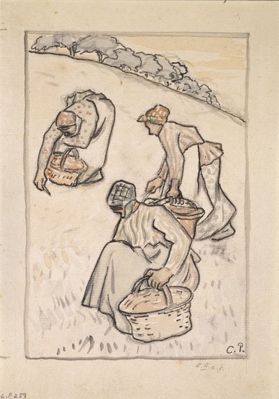 Otları ayıklayan kadınlar (kağıt üzerinde kömür üzerinde wc ile kalem ve Hint mürekkebi) by Camille Jacob Pissarro