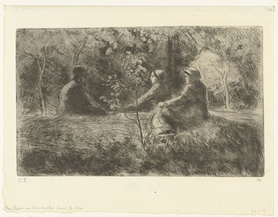 Het bos